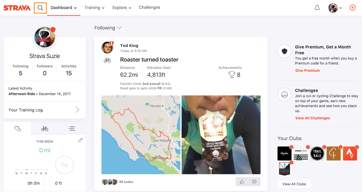 Dashboard___Strava.png