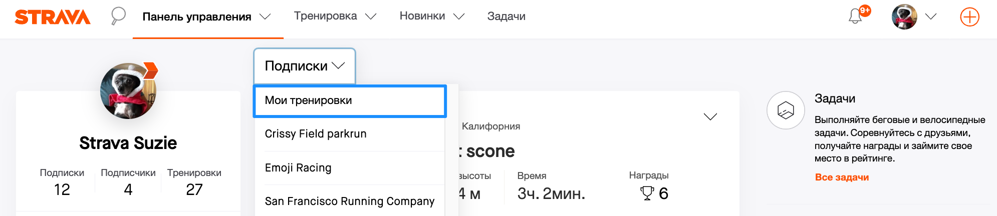 ViewingYourActivities2_Russian.png