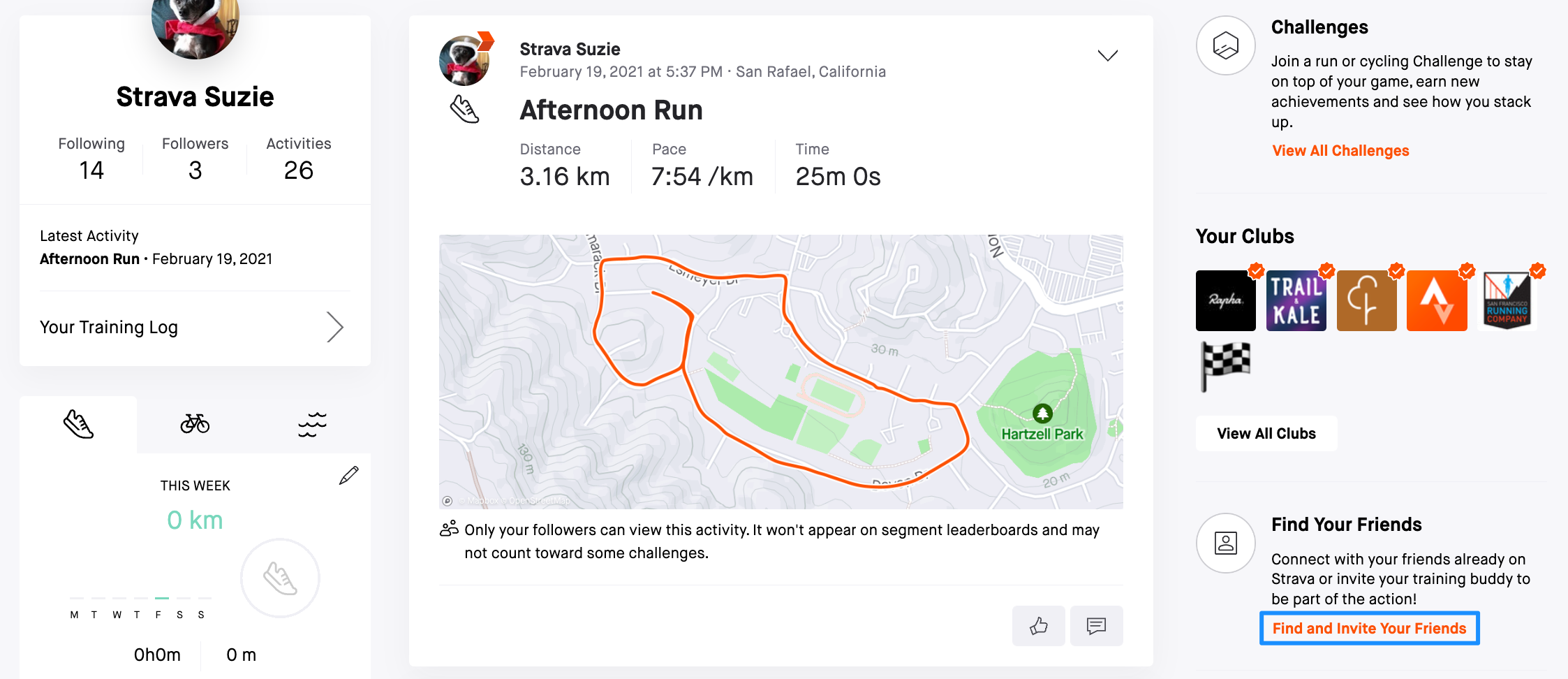 Running with Friends, Software